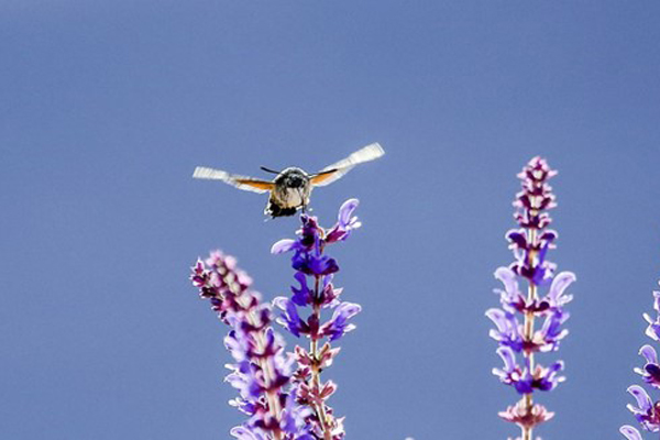 2026年寒假期间盘山县教育局关于理性选择校外培训告家长书